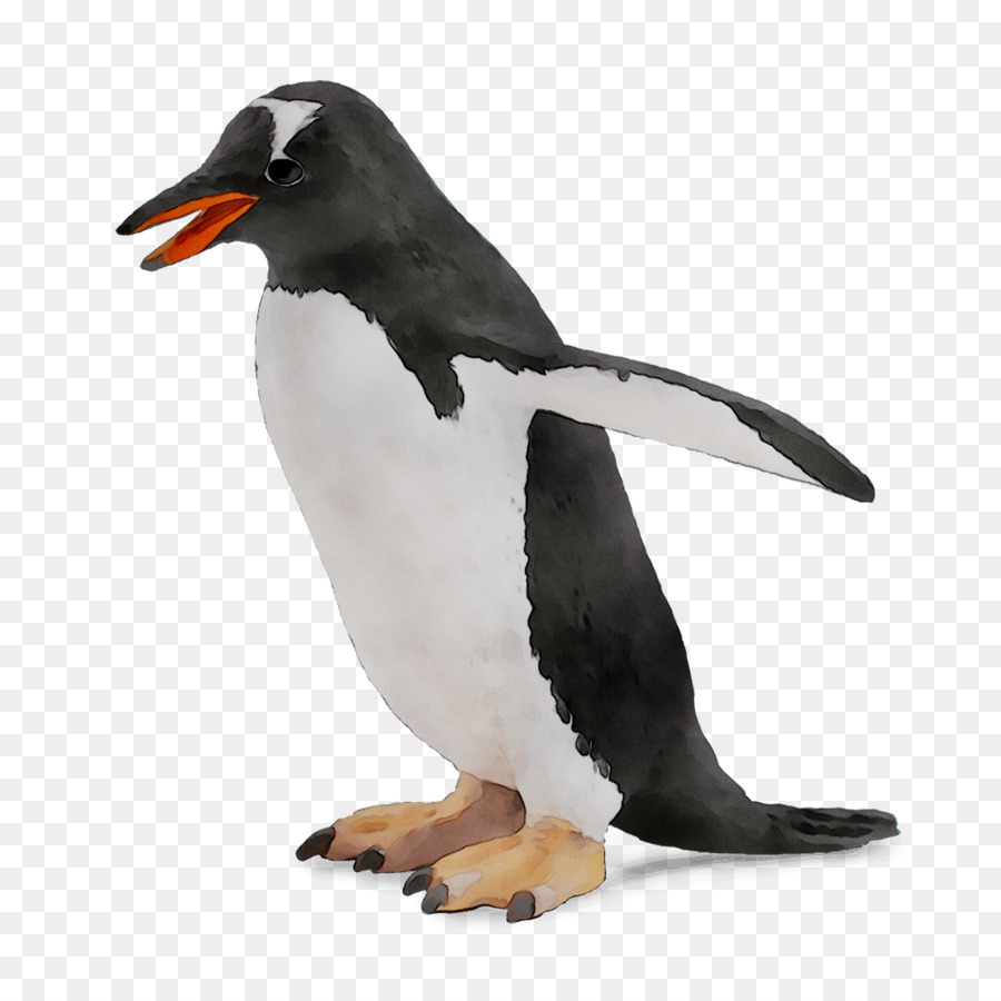 Pingüino，Pingüino Rey PNG