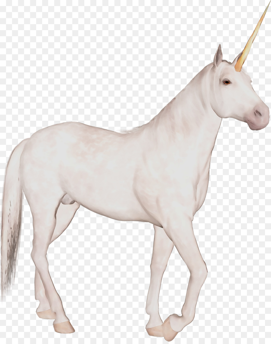 Unicornio，Mítico PNG