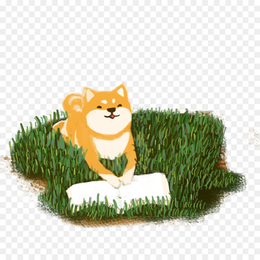 Gato，Perro PNG