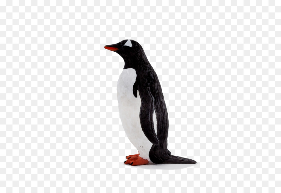 Pingüino，Pájaro PNG