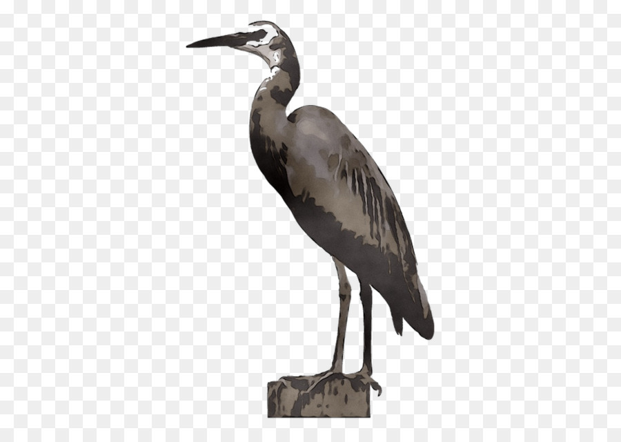 Heron，La Cigüeña PNG
