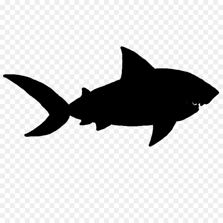 Tiburón，La Fauna PNG