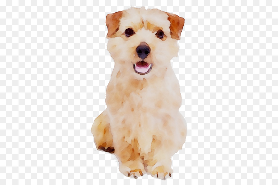 Cachorro Marrón，Perro PNG