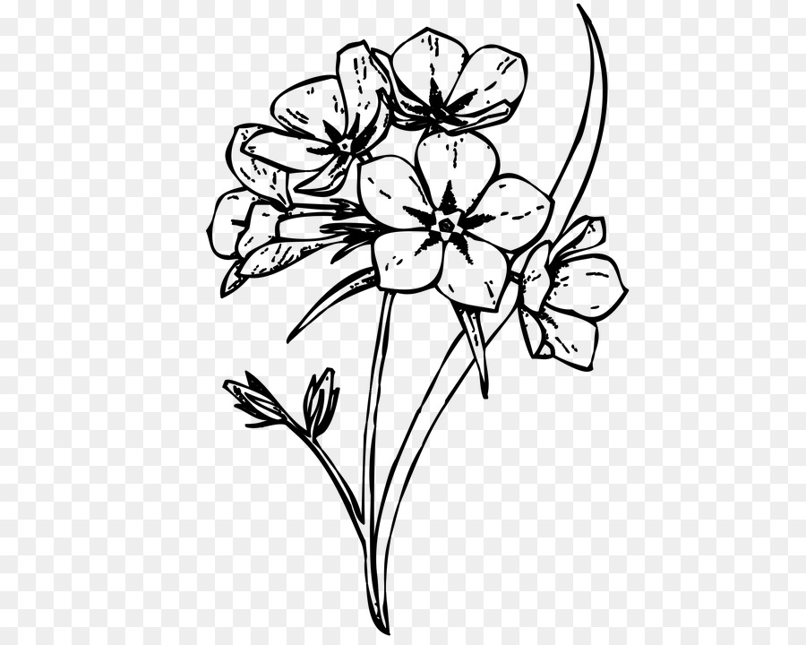 Diseño Floral，M02csf PNG