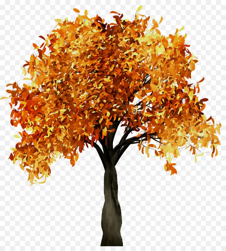 árbol De Otoño，Hojas PNG