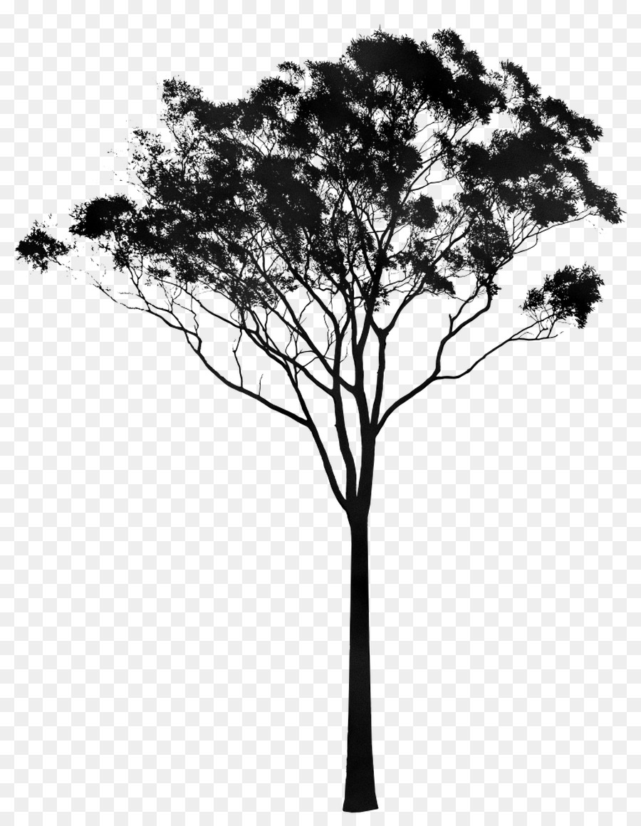 Árbol，Silueta PNG