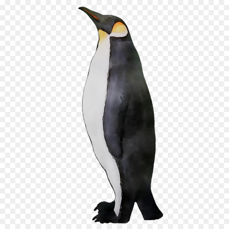 Pingüinos，Aves PNG