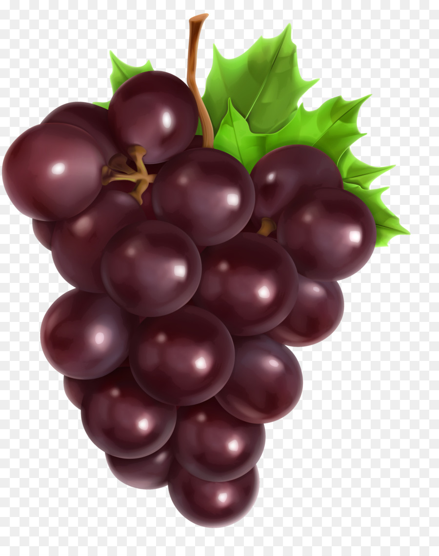 Uvas Moradas，Enredadera PNG