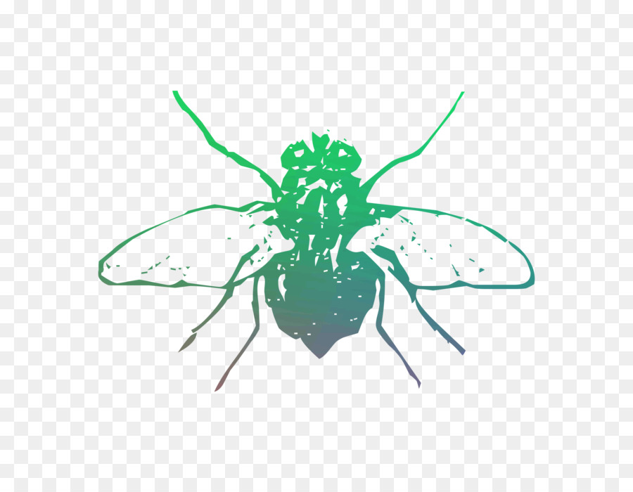 Los Insectos，Polinizador PNG