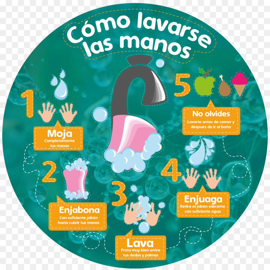 El Lavado De Manos，Infografía PNG