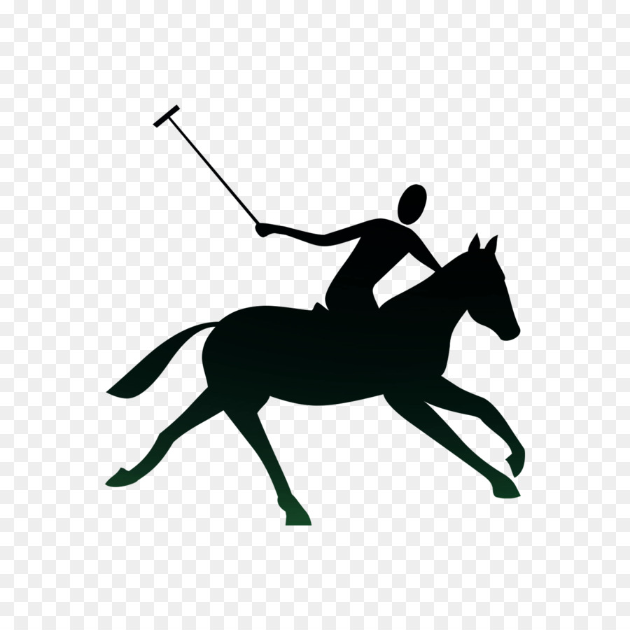 Jugador De Polo，Caballo PNG