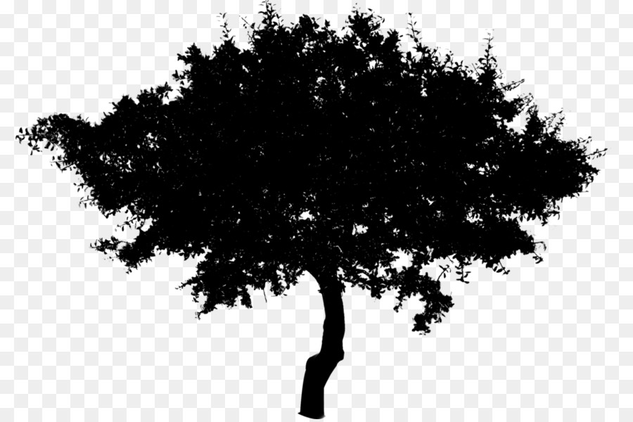 Silueta De Arbol，árbol PNG