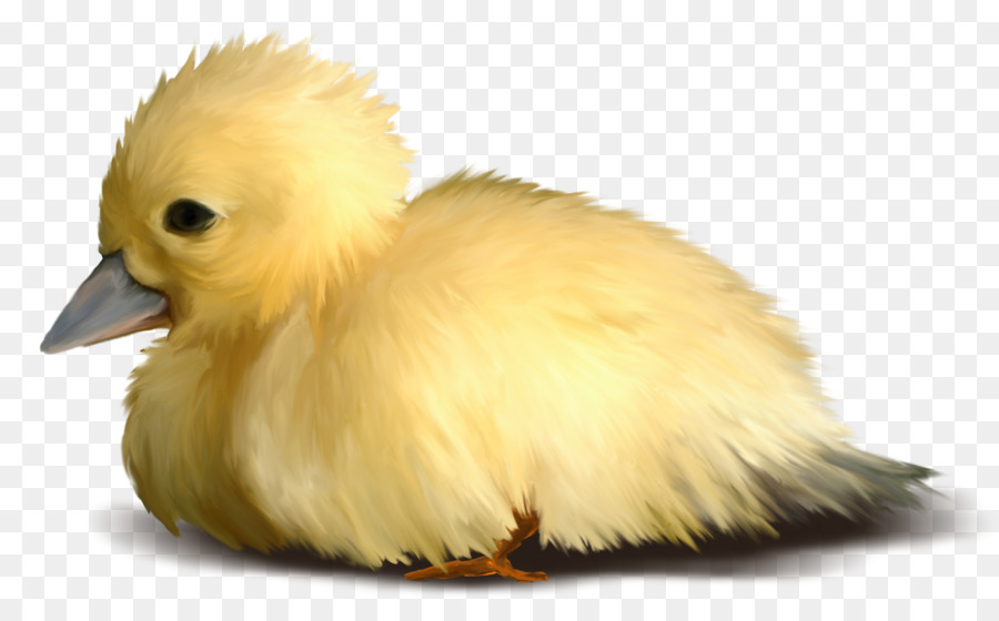 Pato，Centerblog PNG