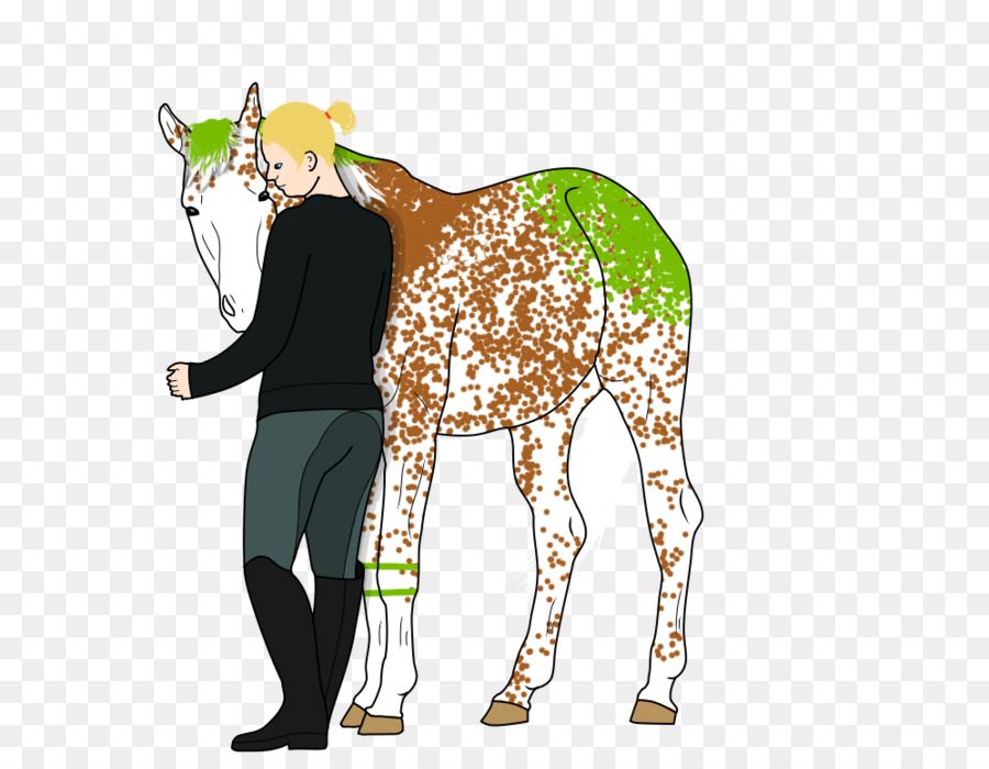 Jirafa，Caballo PNG