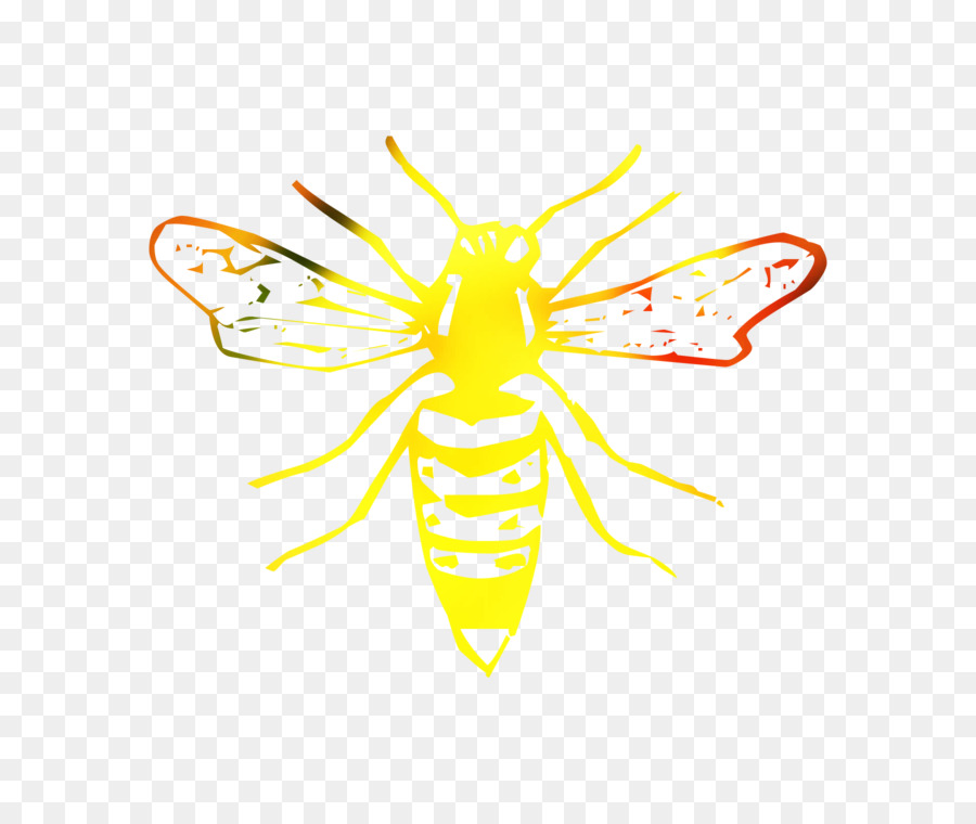 La Miel De Abeja，Descargar PNG