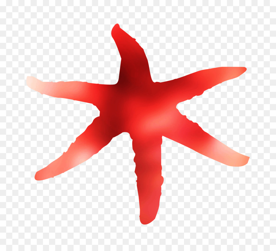 Estrella De Mar，Redm PNG