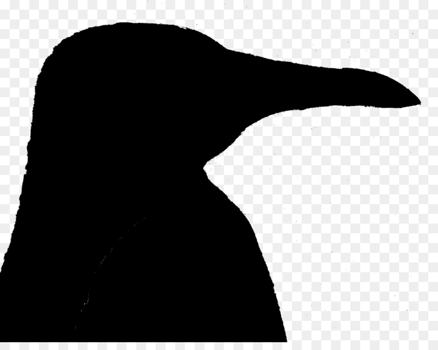 Pingüino，Aves PNG