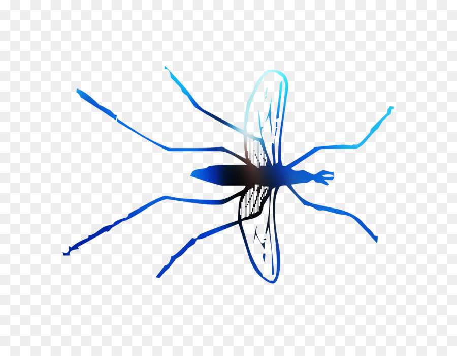 Mosquito，Los Insectos PNG