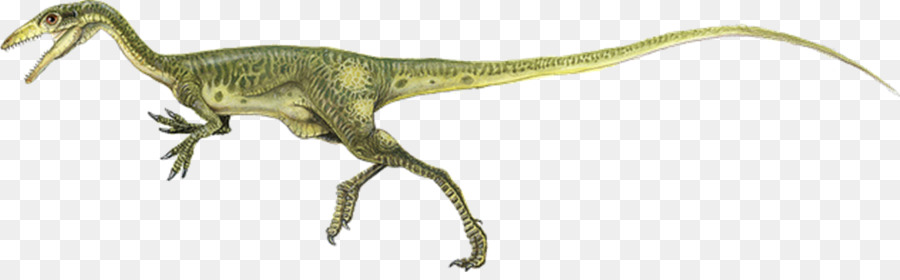 Compsognathus，Procompsognathus PNG