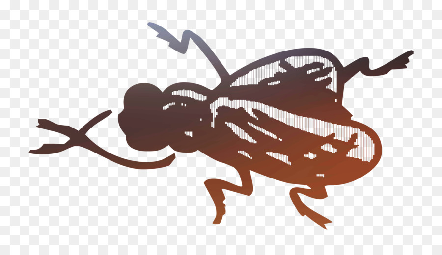 Los Insectos，La Historieta PNG