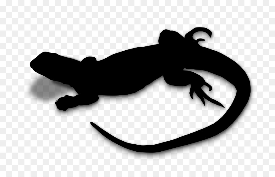 Los Anfibios，Reptiles PNG