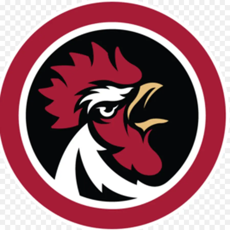 La Universidad De Carolina Del Sur，South Carolina Gamecocks De Fútbol PNG