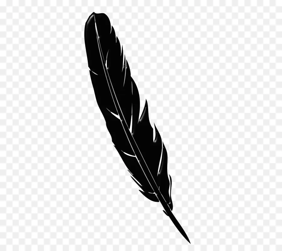 Pluma，Dibujo PNG