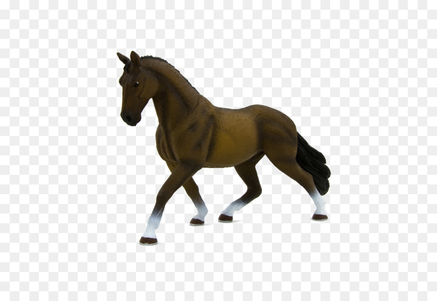 Caballo Hannoveriano，Caballo De Cuarto Americano PNG