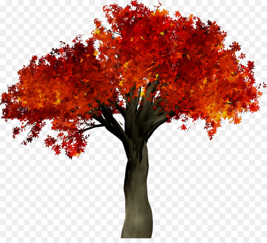 Otoño，Una Fotografía De Stock PNG