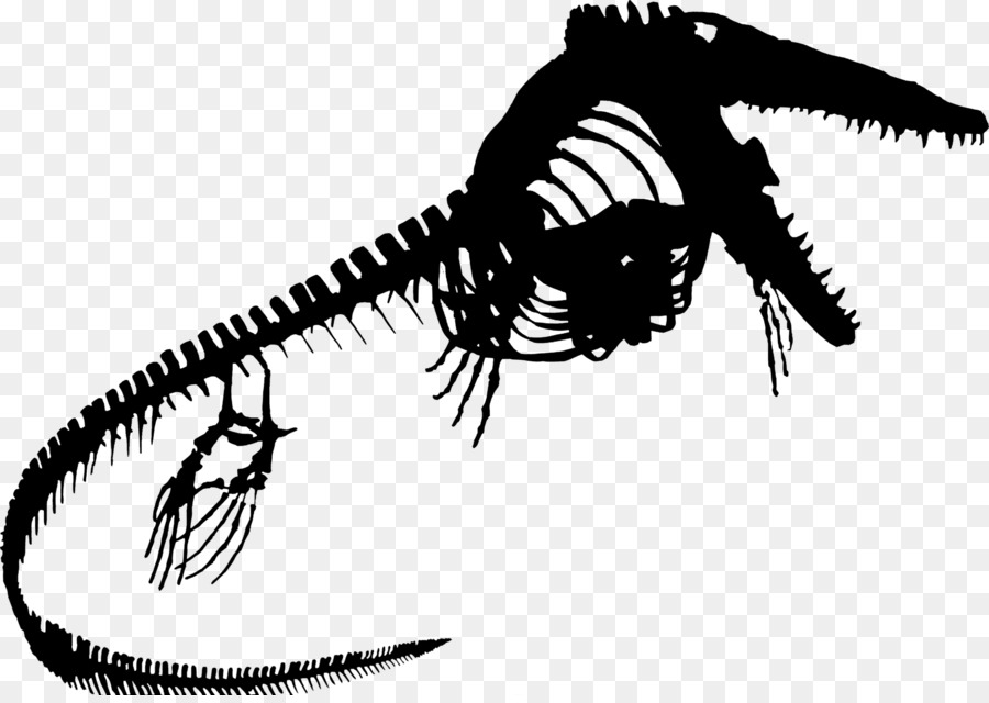 Tyrannosaurus，Invertebrados PNG