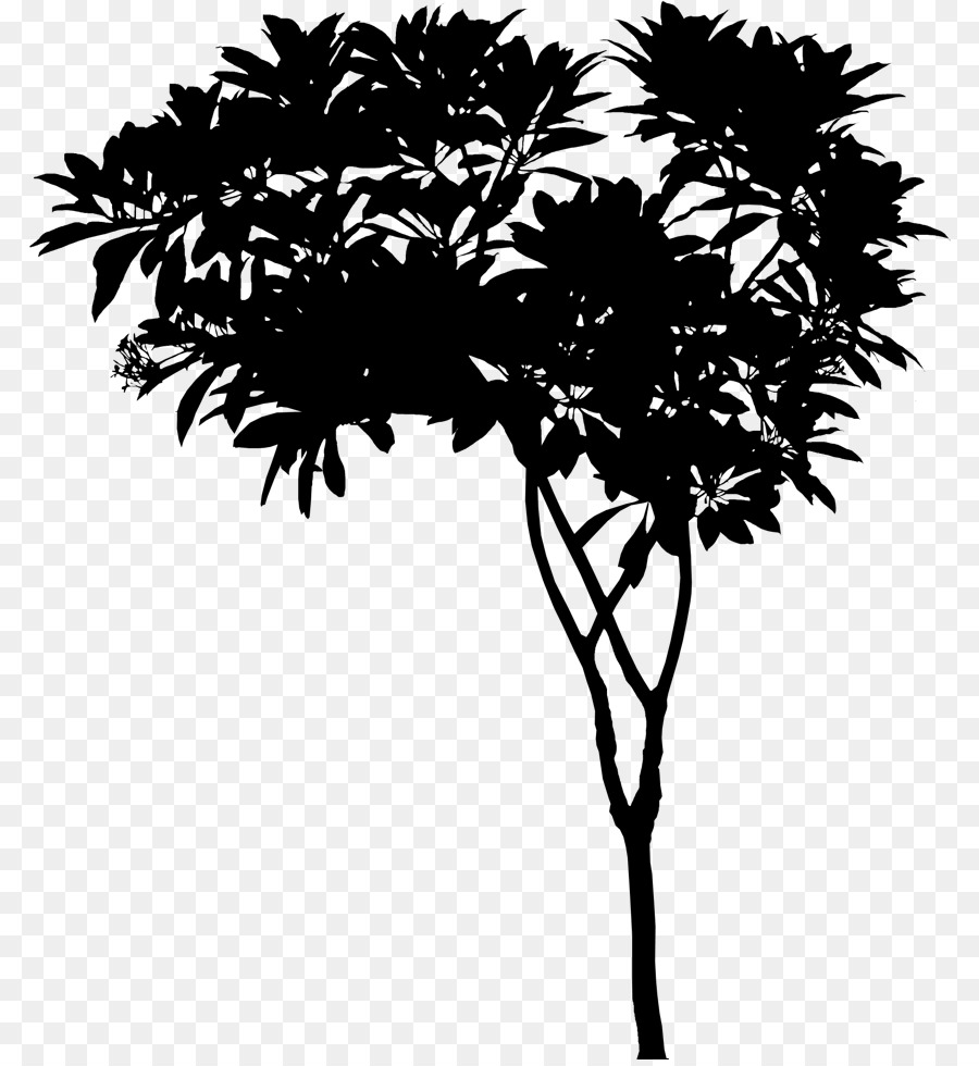 Asiático Palmira Palma，Los árboles De Palma PNG