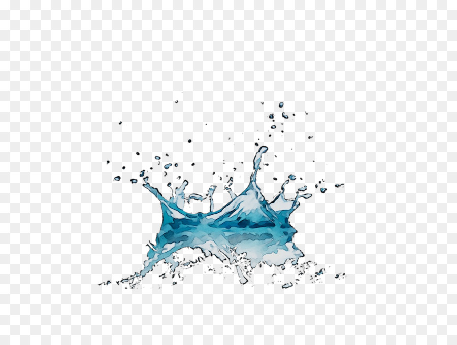 Agua，Los Peces PNG