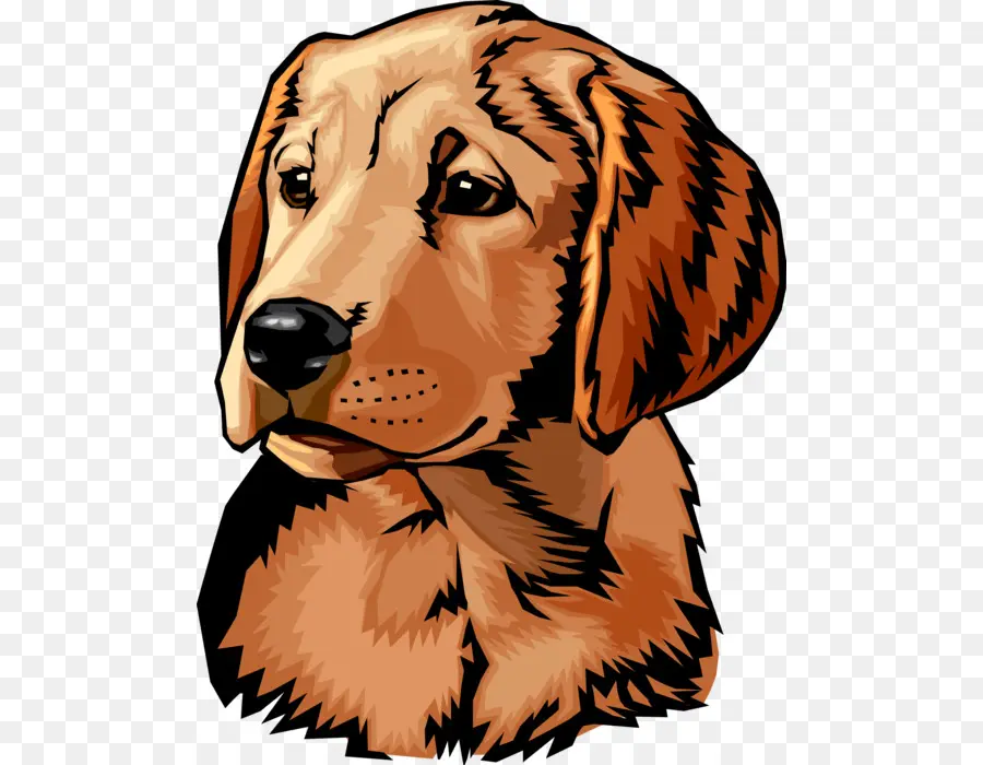 Golden Retriever，Labrador Retriever PNG