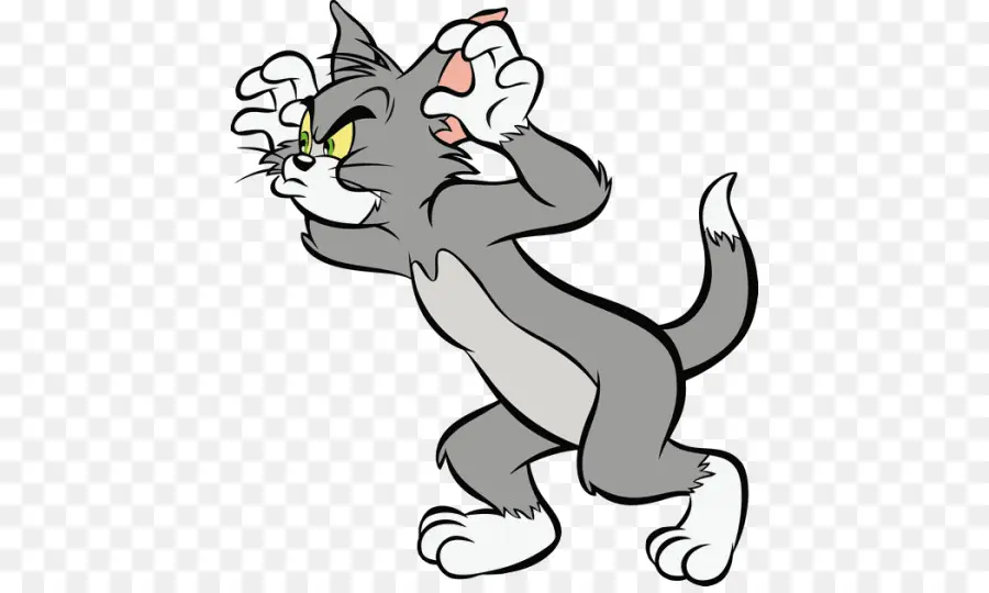 Gato Tom，El Ratón Jerry PNG