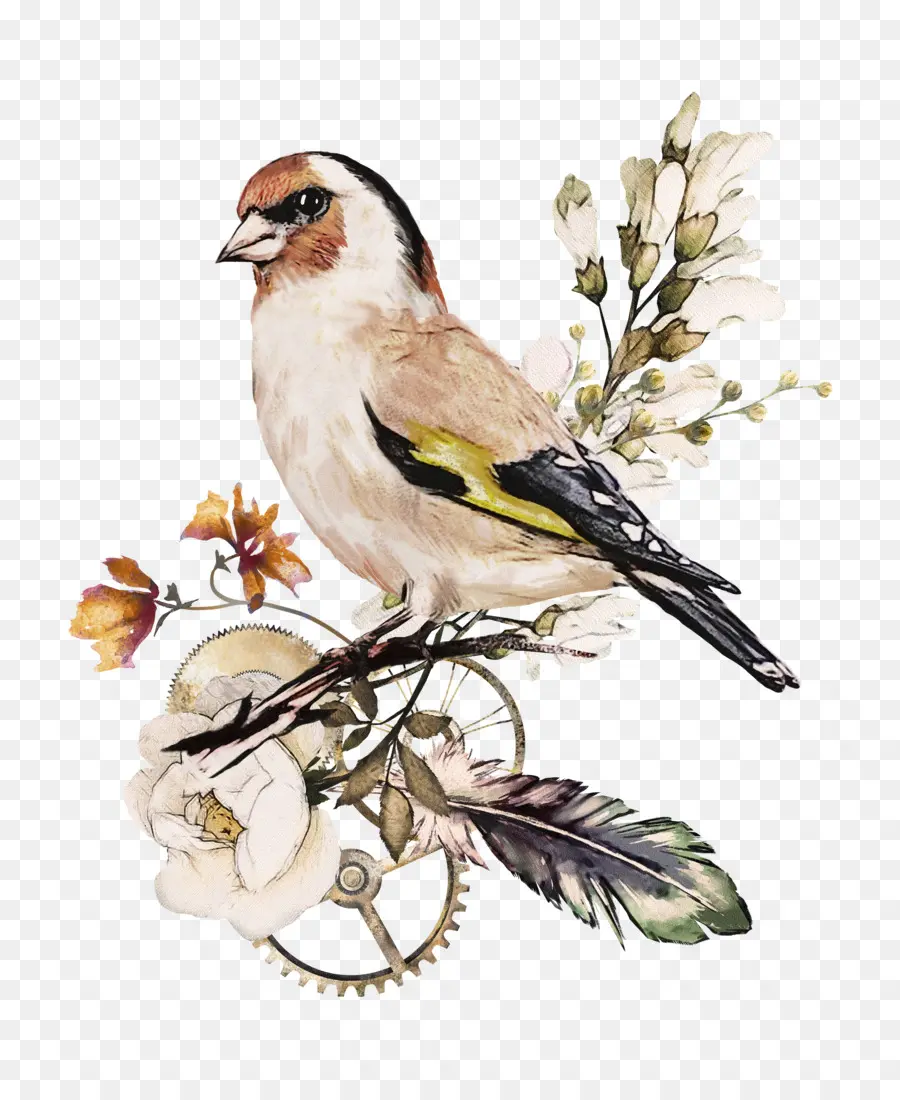 Pájaro En Flores，Plumas PNG