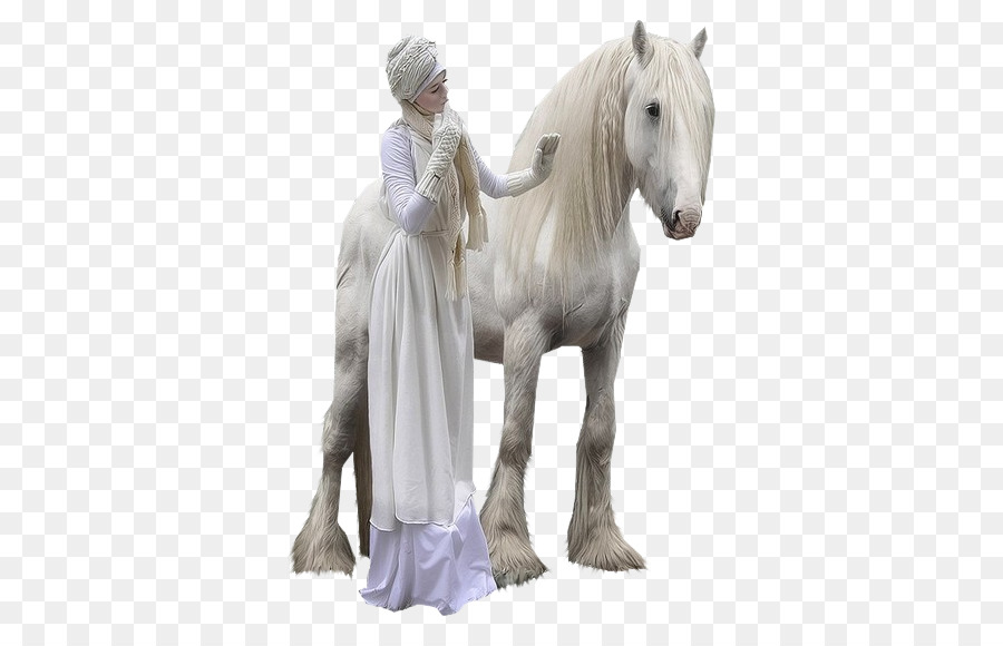 Caballo Blanco，Mujer PNG