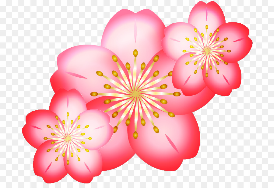 De Los Cerezos En Flor，Sakura Wars Siempre Mi Amor PNG