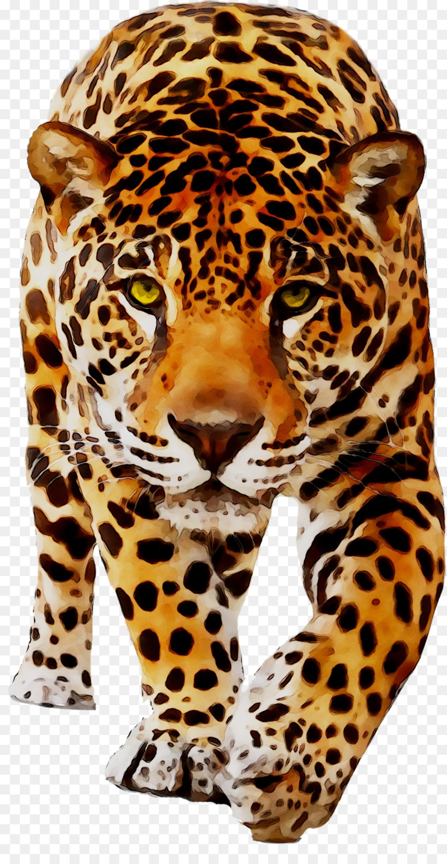 Leopardo，Manchas PNG