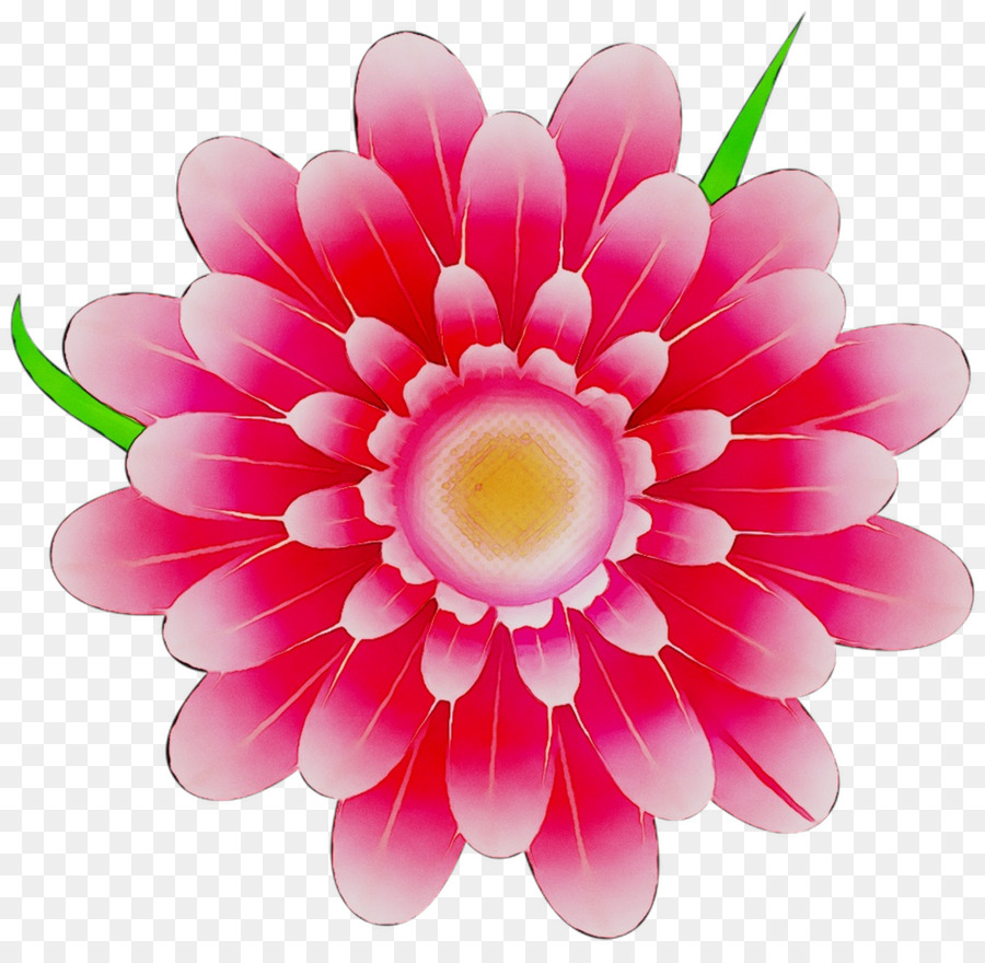 Flor，Rosa PNG