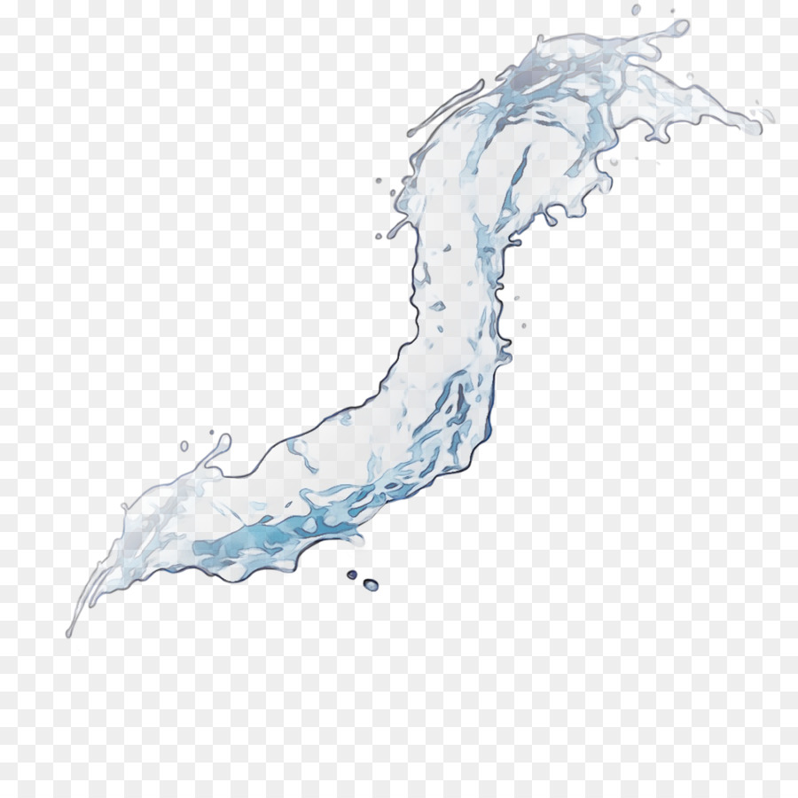 Agua，Organismo PNG