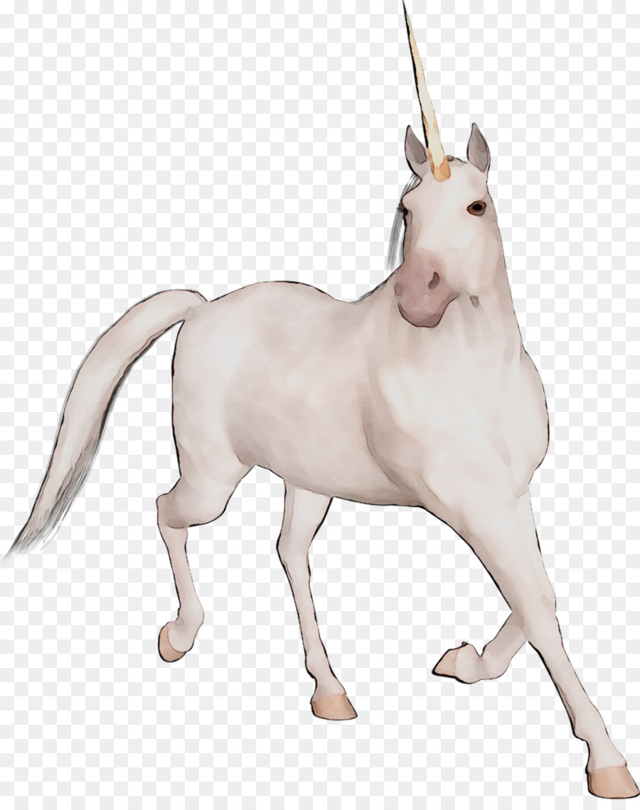 Mustang，Unicornio PNG