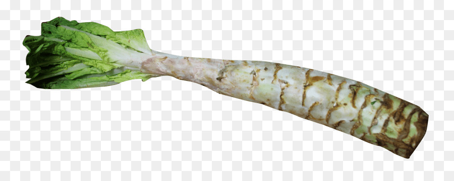 Celtuce，Sándwich De Lechuga PNG