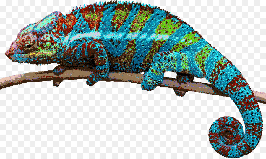 Lagarto，Reptiles PNG