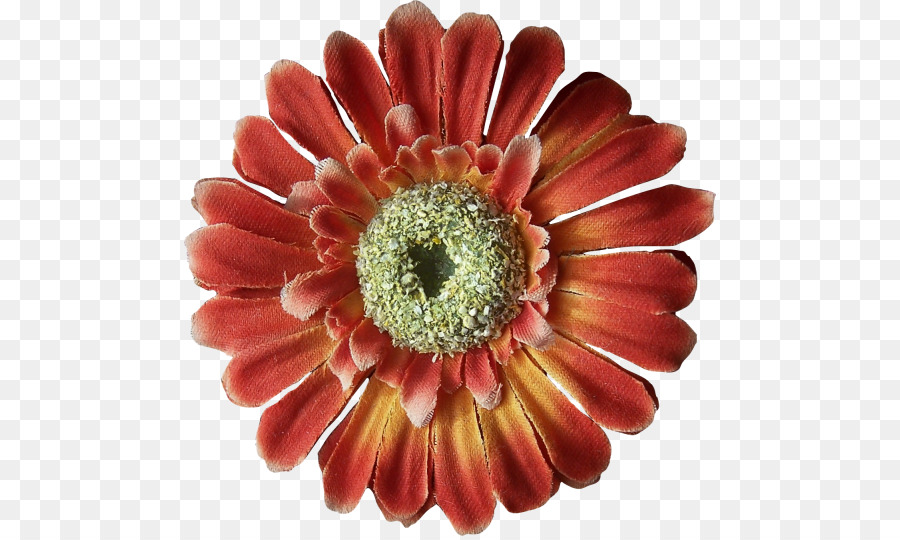 Flor Roja，Flor PNG