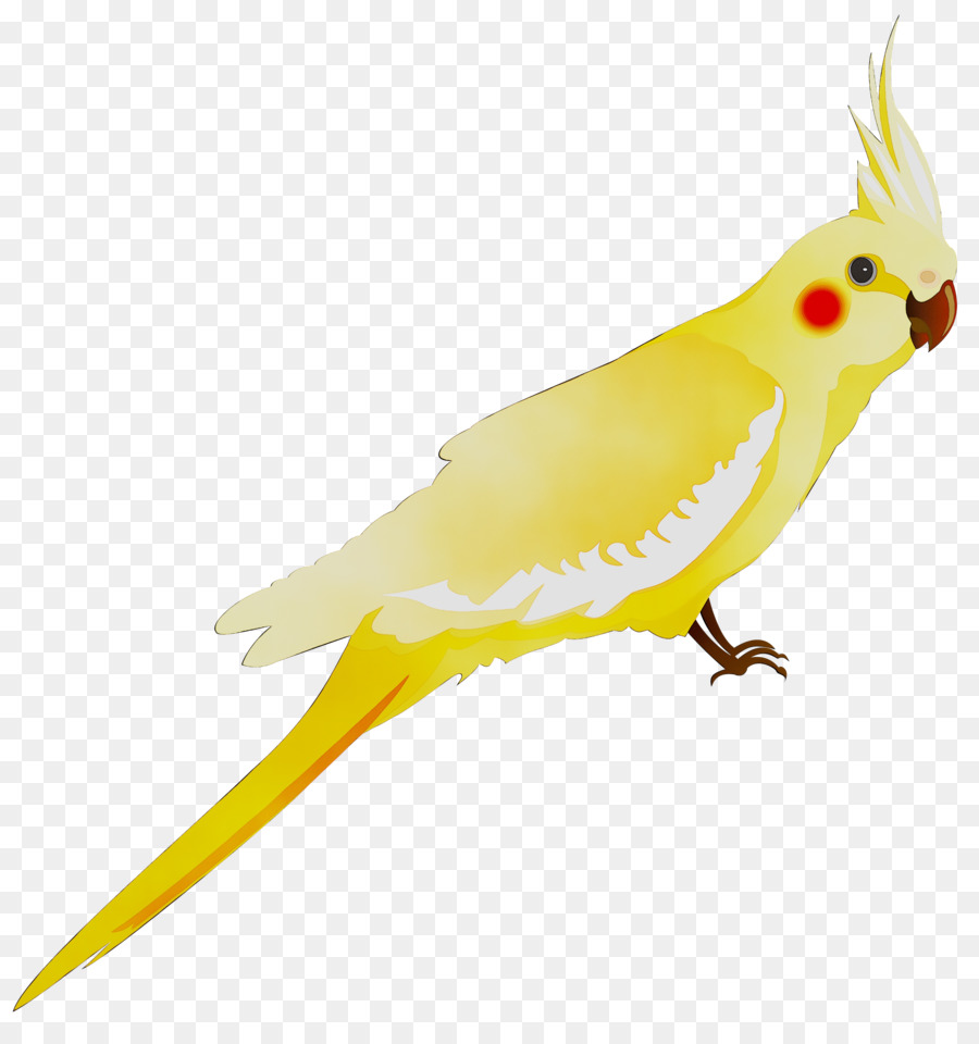 Pájaro Amarillo，Pájaro PNG