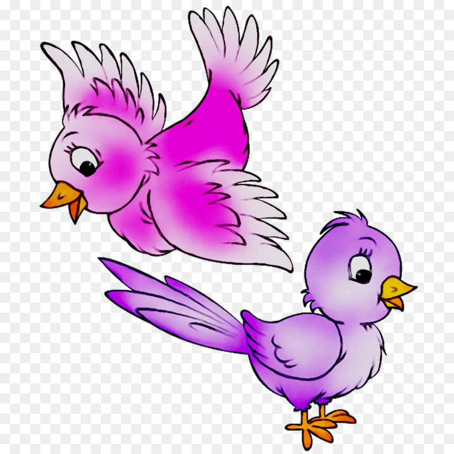 Aves，Vuelo PNG