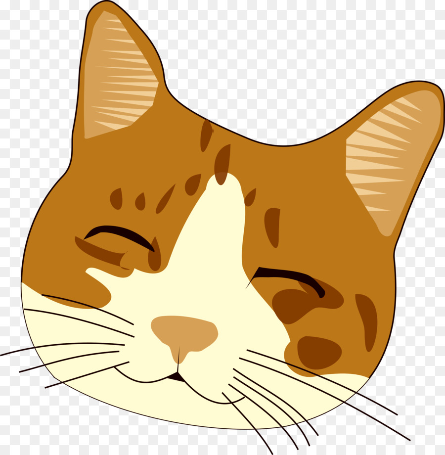 Lindo Gato，Gatito PNG