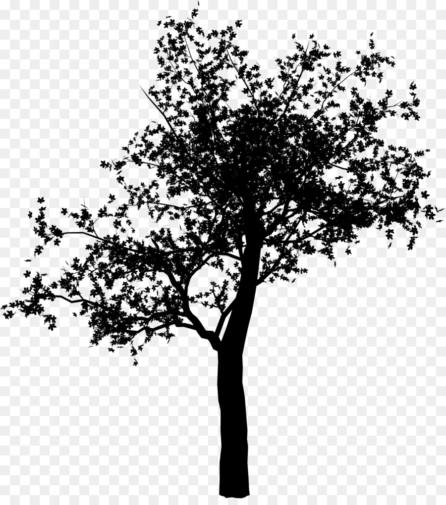 Árbol，Silueta PNG