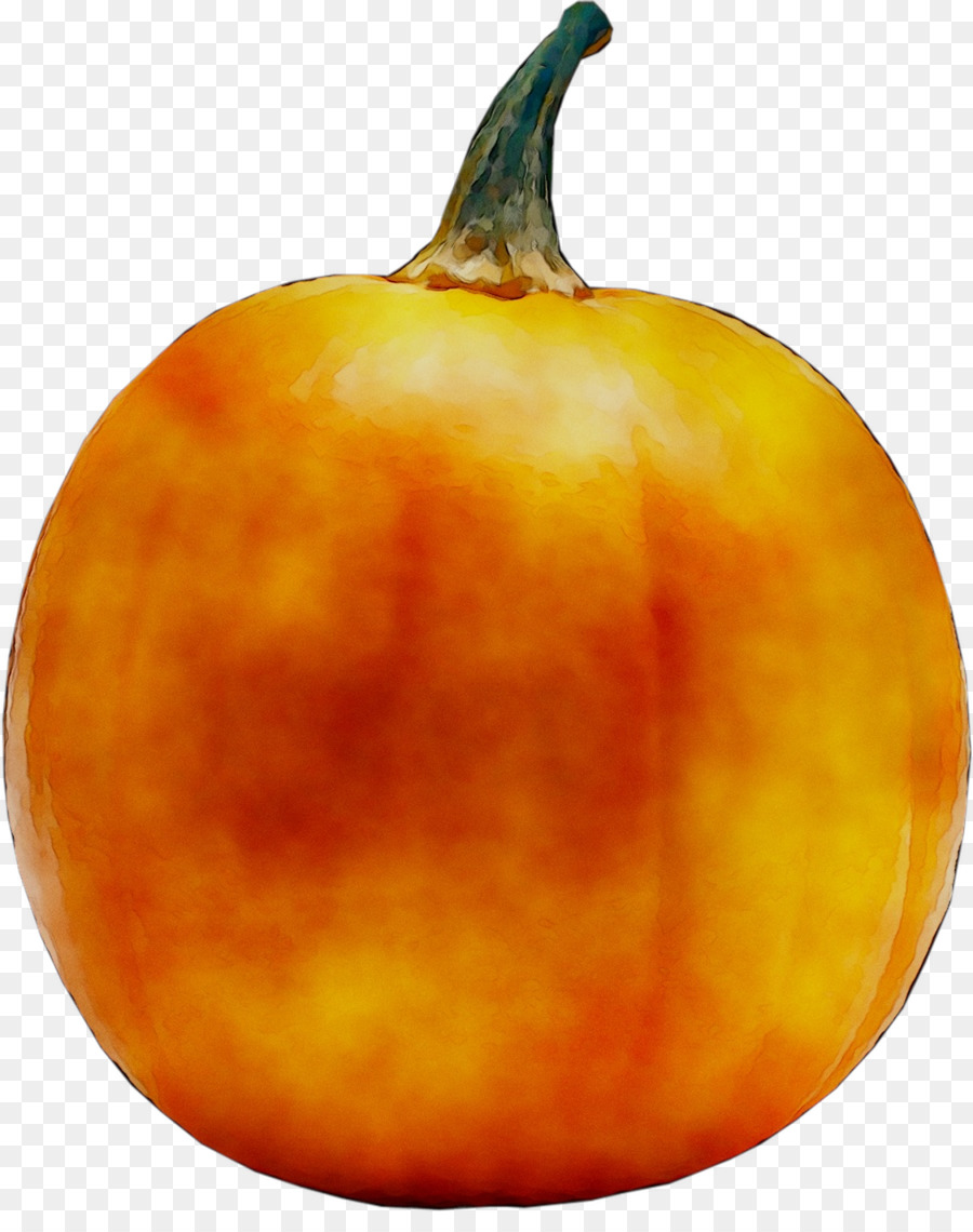 Calabaza De Invierno，Calabaza PNG