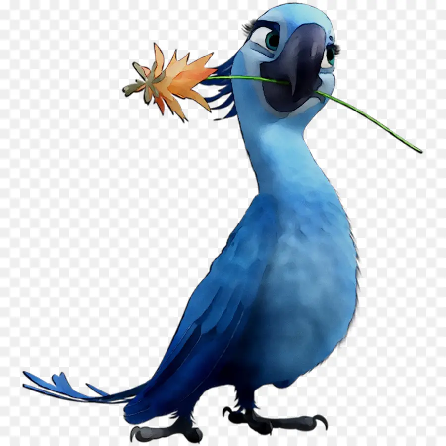 Pájaro Azul，Pájaro PNG